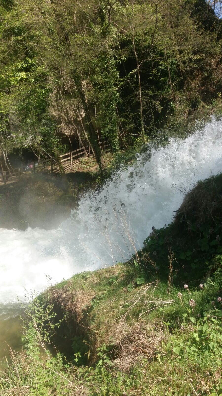 A tutt'acqua con ERG