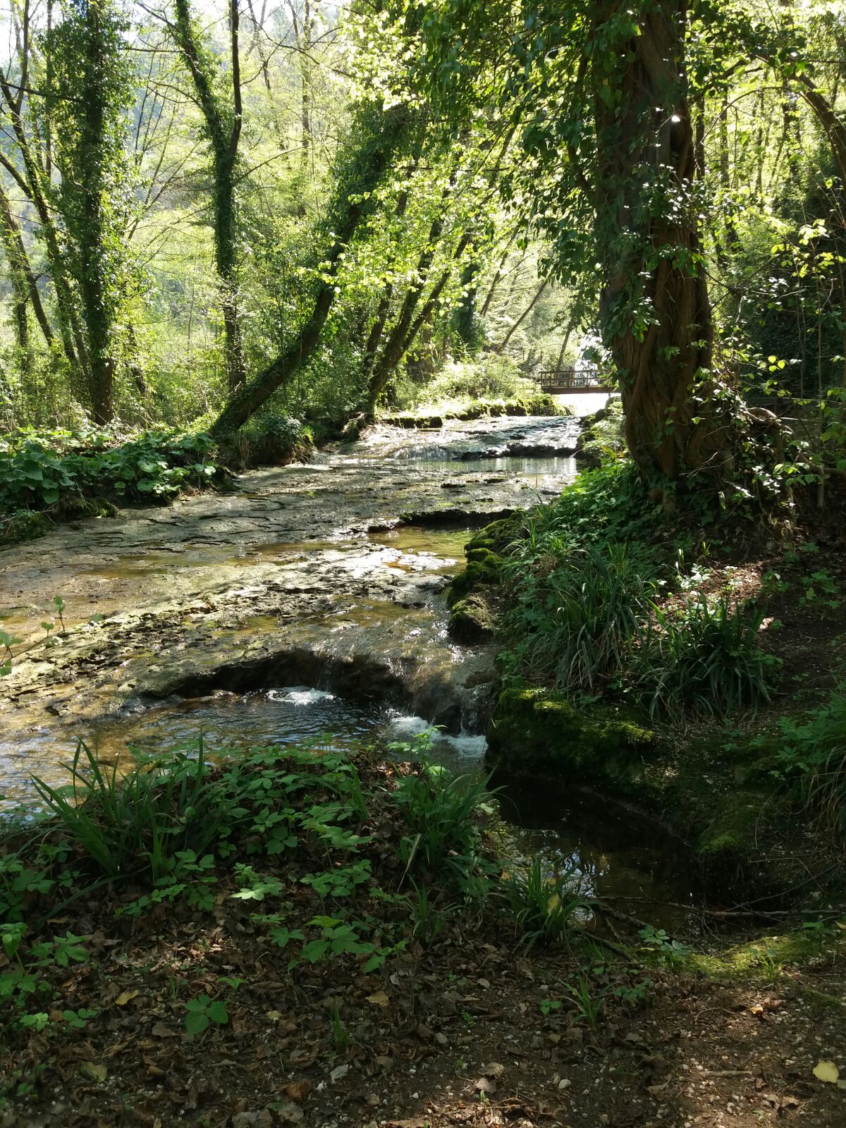 A tutt'acqua con ERG