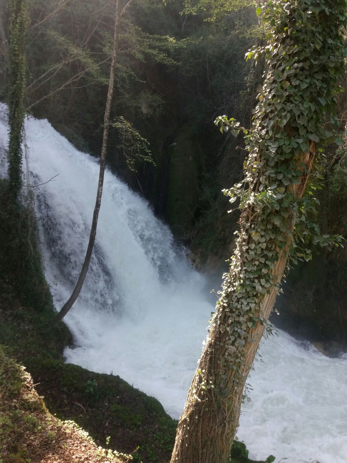 A tutt'acqua con ERG