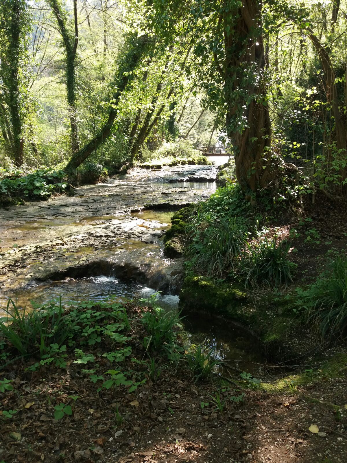A tutt'acqua con ERG